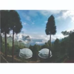 glamping-dome-5m (2)
