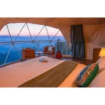 Glamping-dome-in-budget (3)