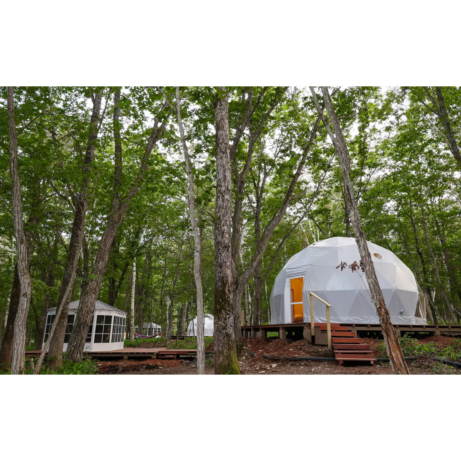 Glamping-dome-in-budget (5)