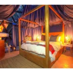 Glass-dome-4m-dia (6)