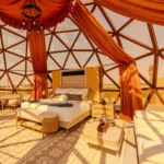 Luxury 7m glass dome (6)