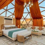 Luxury 7m glass dome (6)